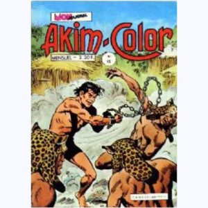 Akim Color : n° 65, La grande idole