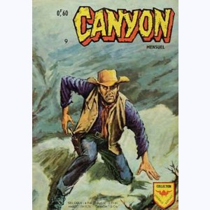 Canyon : n° 9