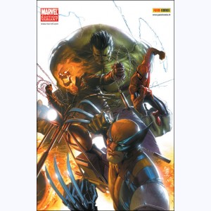 Marvel Heroes (2007) : n° 28v