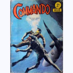 Commando (Album) : n° 355, Recueil 355 (80, 81, 82, 83, S4/65)