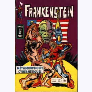 Frankenstein : n° 13, Cyberman : Métamorphoses cybernétiques