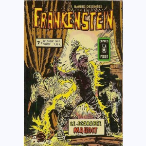 Frankenstein (Album) : n° 3750, Recueil 3750 (15, 16)
