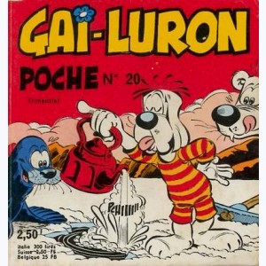 Gai-Luron Poche : n° 20, Un dessin à dessein gag