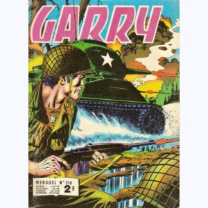 Garry : n° 316, Fleuve noir