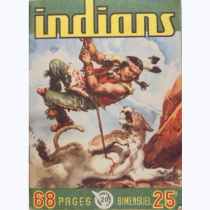 Indians : n° 20, Long Arc : L'étrange sorcier