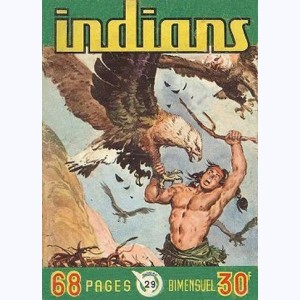 Indians : n° 29, Long Arc : Le petit voleur