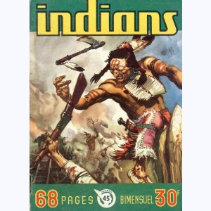 Indians : n° 45, Dan Brand et Tipi : Eclair