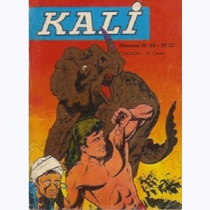 Kali : n° 33, La vallée de la peur
