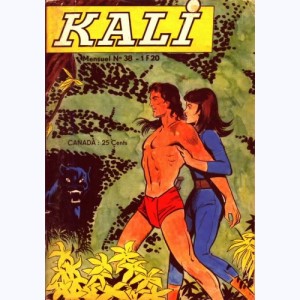 Kali : n° 38, Le nouveau Yogi