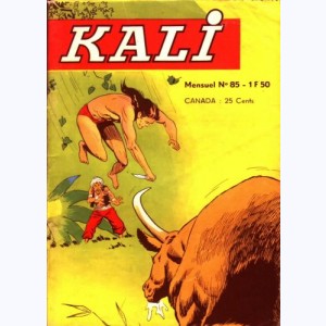 Kali : n° 85, Fureur sauvage