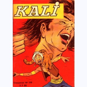 Kali : n° 119, Top secret !