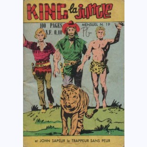 King la Jungle : n° 19, Le rescapé de l'avion