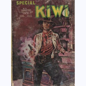 Kiwi Spécial : n° 73, Le pt Ranger : Un château dans le Nevada