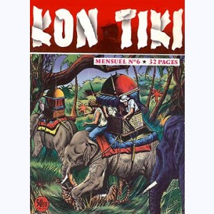 Kon Tiki : n° 6, Fin de l'aventure