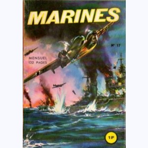 Marines : n° 17, Un naufragé a disparu