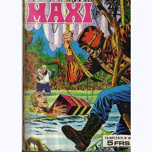 Maxi : n° 39, Jim HAWK : Les marais de l'angoisse