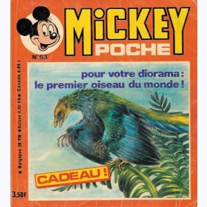 Mickey Poche : n° 53