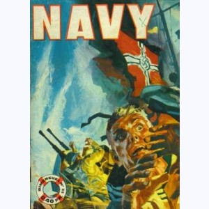 Navy : n° 33, Un coup de chance