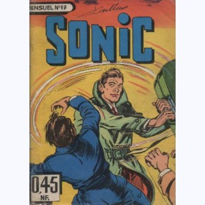 Sonic : n° 17, Enigme policière
