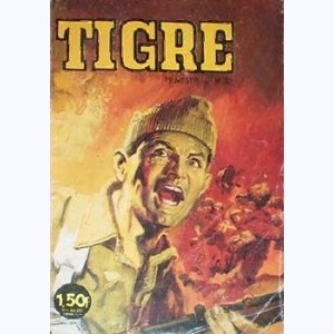 Tigre : n° 23, Soldats en Birmanie