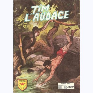 Tim l'Audace (2ème Série) : n° 8, La vallée interdite