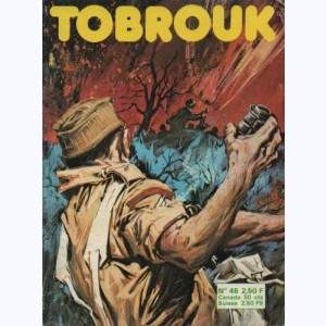 Tobrouk : n° 45, Les français attaquent