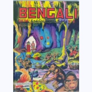 Bengali : n° 9, Le mystère de la vallée perdue