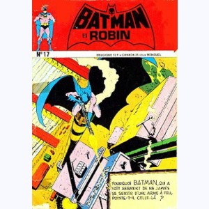 Batman et Robin : n° 17, Le secret des statues de mort...