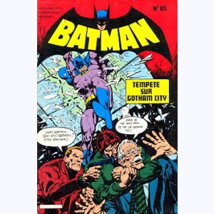 Batman et Robin : n° 65, Tempête sur Gotham city