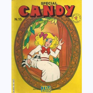 Candy Spécial : n° 15, Le mystérieux Terry