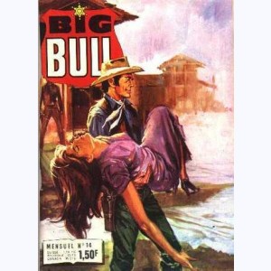 Big Bull : n° 14, L'héritage du colonel