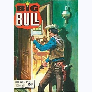 Big Bull : n° 18, L'or de la Capitaine