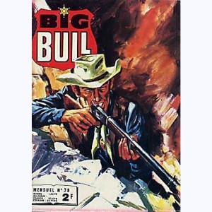 Big Bull : n° 38, L'or caché