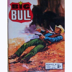 Big Bull : n° 45, Reviendra-t-il un jour ?