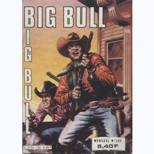 Big Bull : n° 132, L'héritier