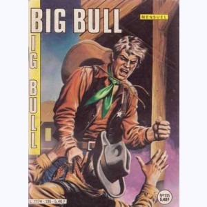 Big Bull : n° 135, L'or caché