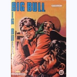 Big Bull : n° 149, La vallée maudite