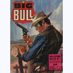 Big Bull (Album) : n° 1, Recueil 1 (01, 02, 03, 04)