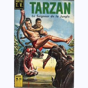 Tarzan : n° 11, La vallée du sépulcre, L'homme seul