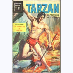 Tarzan : n° 28, Les adorateurs de Mischta