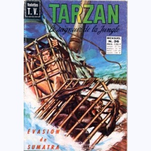 Tarzan : n° 36, Evasion de Sumatra, Le geyser d'Opar