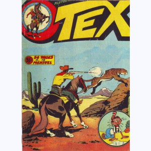 Tex : n° 19