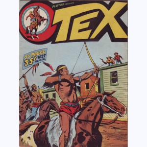 Tex : n° 27, Les voleurs de bétail : suite