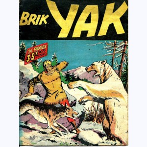 Brik Yak : n° 73, Kim des neiges