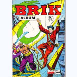 Brik (Album) : n° 25, Recueil 25 (97, 98, 99, 100)