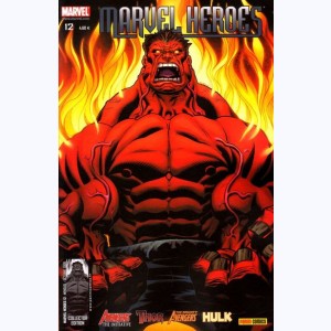 Marvel Heroes (2007) : n° 12, Qui est Hulk?