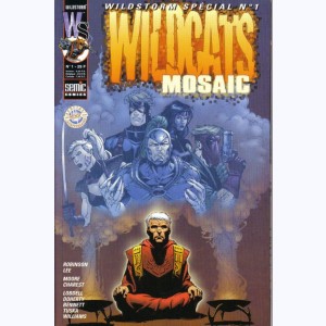 Wildstorm Spécial : n° 1, Wildcats Mosaic
