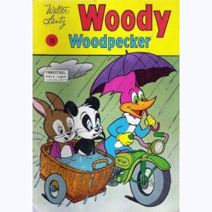 Woody Woodpecker : n° 19, Sur la piste du fantôme !