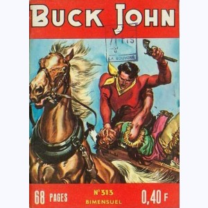 Buck John : n° 313, Les élections