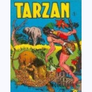Série : Tarzan (Tout En Couleur)